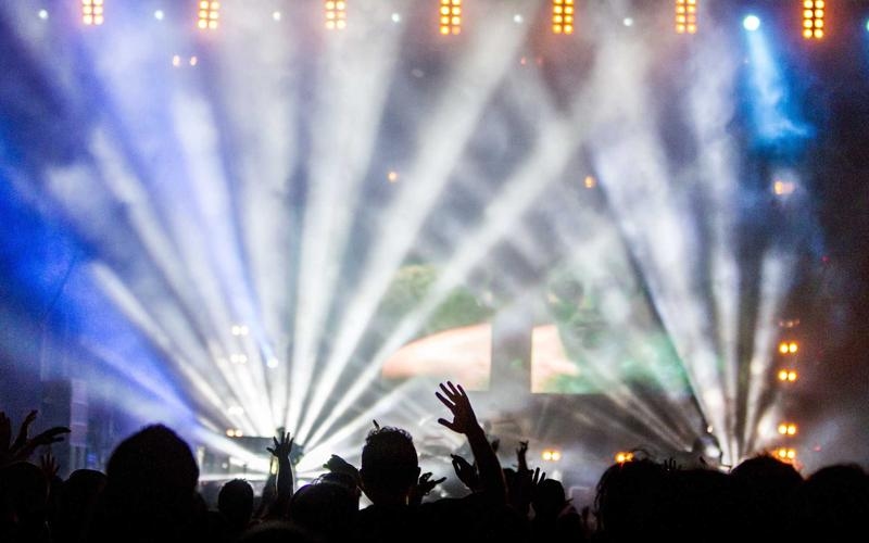 The human, a collective